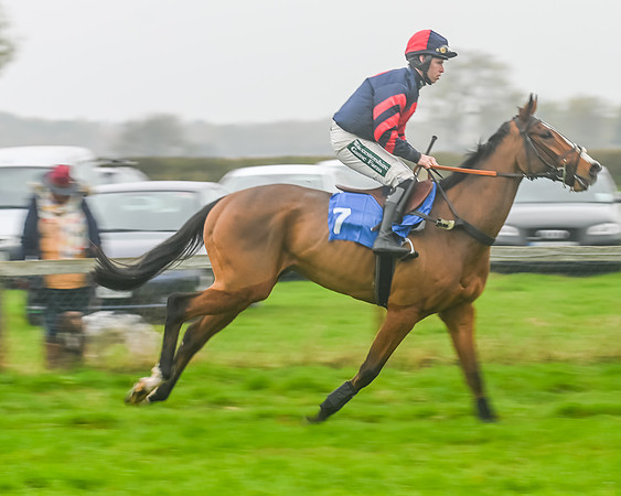 Race 5 - Open Maiden (24 of 106)