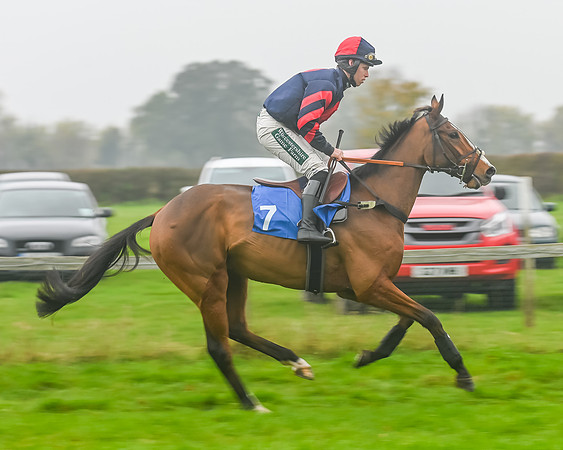 Race 5 - Open Maiden (26 of 106)