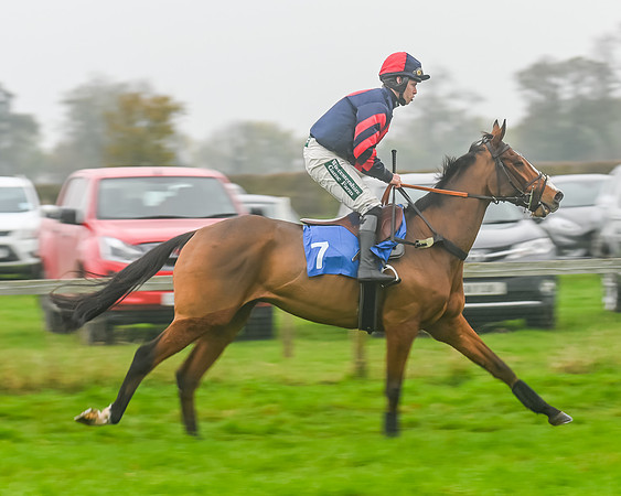Race 5 - Open Maiden (27 of 106)