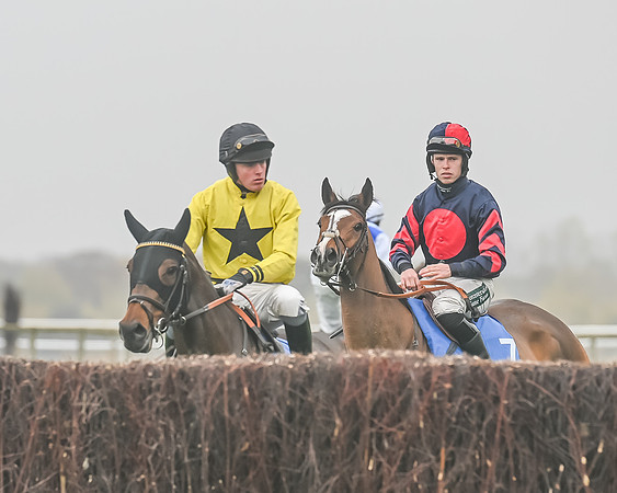 Race 5 - Open Maiden (28 of 106)