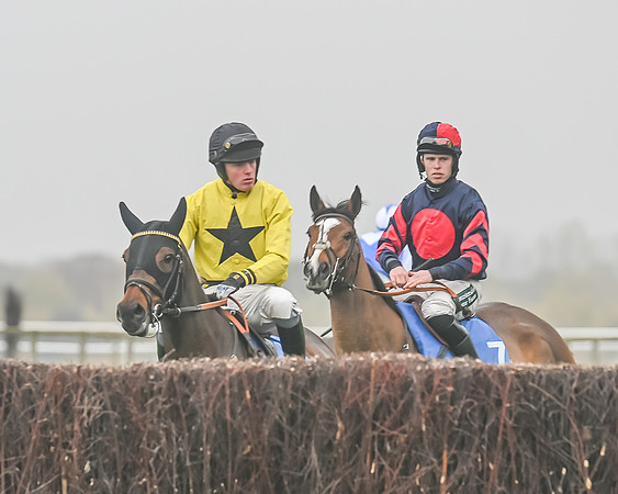 Race 5 - Open Maiden (29 of 106)
