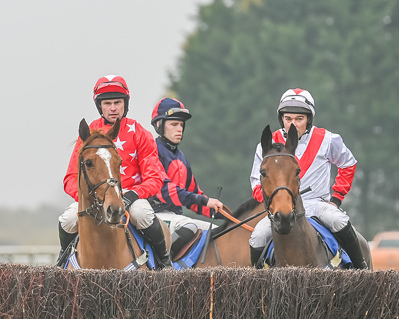 Race 5 - Open Maiden (34 of 106)