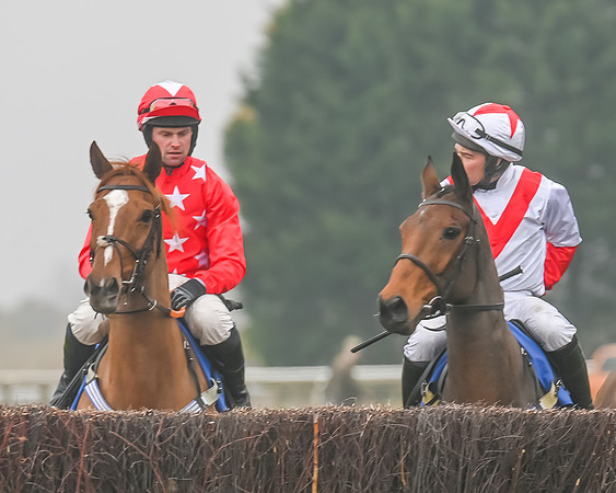 Race 5 - Open Maiden (35 of 106)