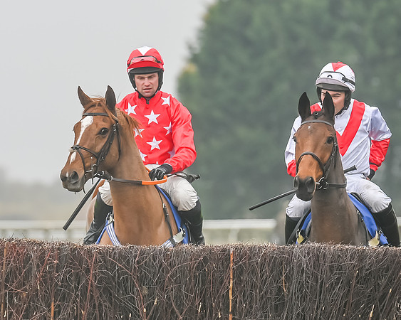 Race 5 - Open Maiden (37 of 106)