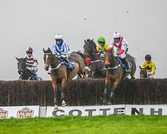 Race 5 - Open Maiden (43 of 106)