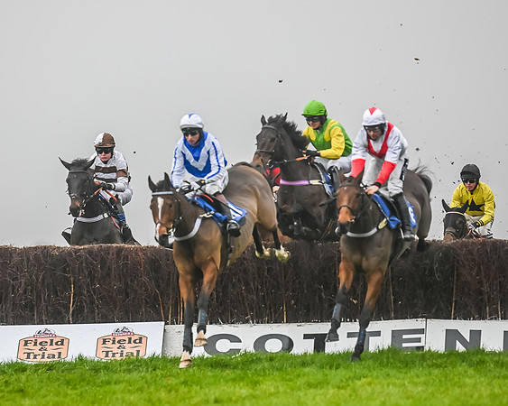 Race 5 - Open Maiden (44 of 106)