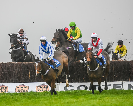 Race 5 - Open Maiden (46 of 106)