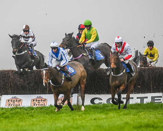 Race 5 - Open Maiden (47 of 106)