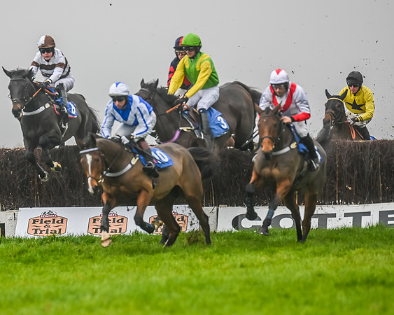 Race 5 - Open Maiden (48 of 106)