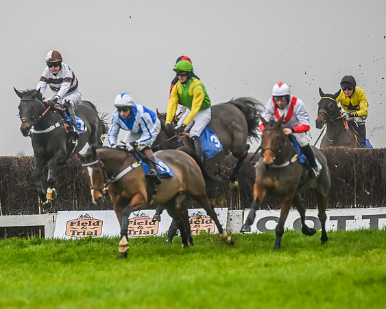 Race 5 - Open Maiden (49 of 106)