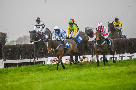Race 5 - Open Maiden (50 of 106)