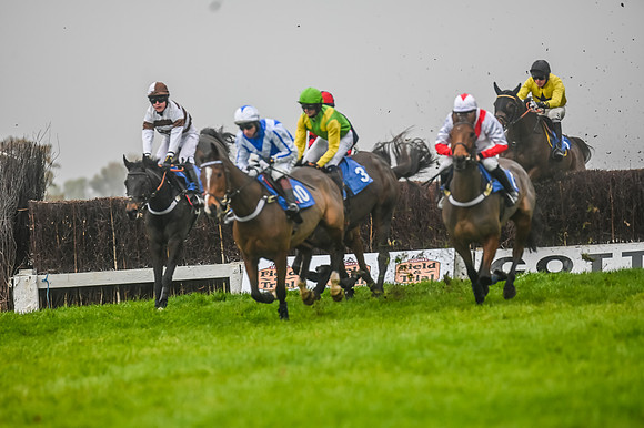 Race 5 - Open Maiden (51 of 106)