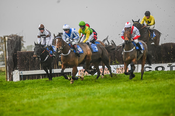 Race 5 - Open Maiden (52 of 106)