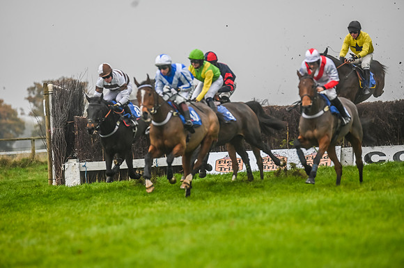 Race 5 - Open Maiden (53 of 106)
