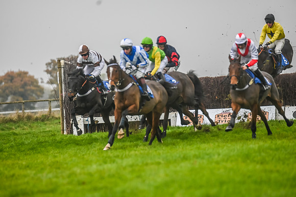 Race 5 - Open Maiden (54 of 106)