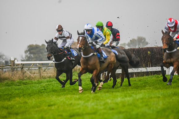 Race 5 - Open Maiden (58 of 106)