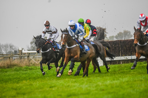 Race 5 - Open Maiden (59 of 106)