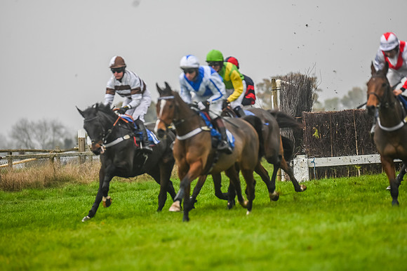 Race 5 - Open Maiden (60 of 106)