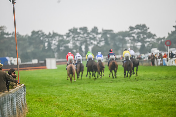 Race 5 - Open Maiden (63 of 106)