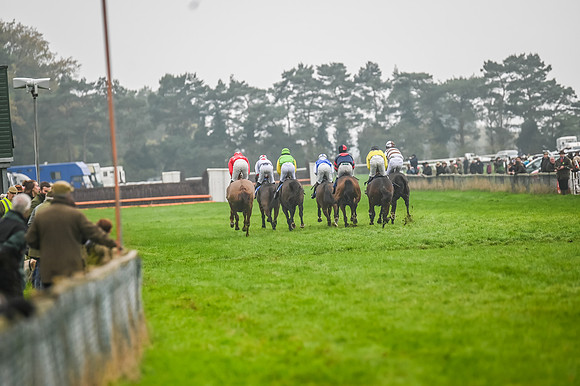 Race 5 - Open Maiden (64 of 106)