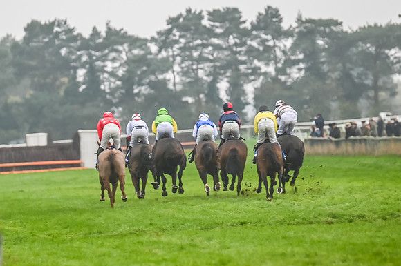 Race 5 - Open Maiden (66 of 106)
