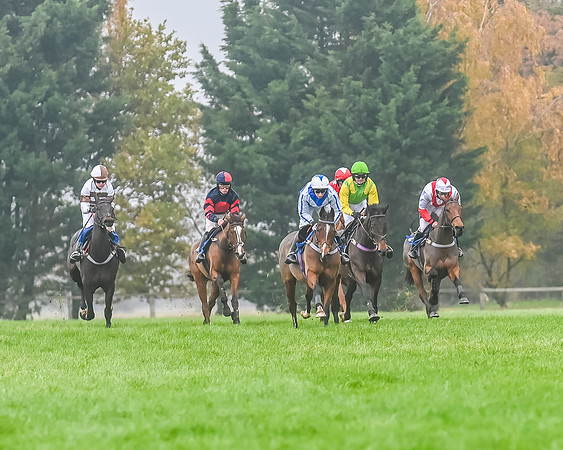 Race 5 - Open Maiden (67 of 106)
