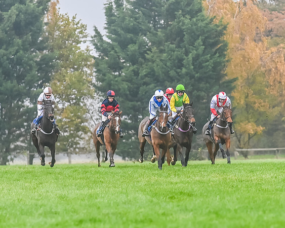 Race 5 - Open Maiden (68 of 106)
