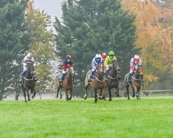 Race 5 - Open Maiden (69 of 106)