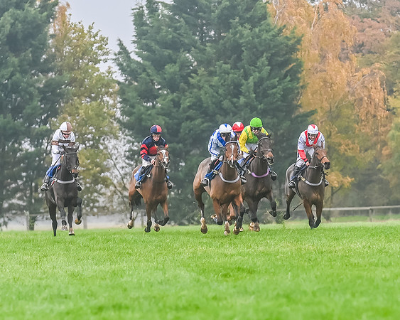 Race 5 - Open Maiden (70 of 106)