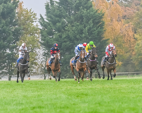 Race 5 - Open Maiden (71 of 106)