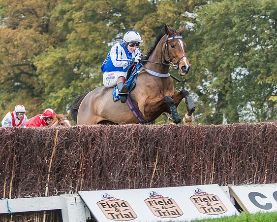 Race 5 - Open Maiden (72 of 106)