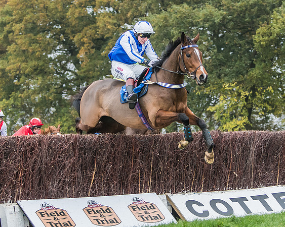 Race 5 - Open Maiden (73 of 106)