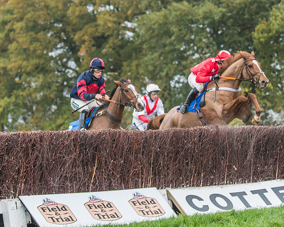Race 5 - Open Maiden (74 of 106)