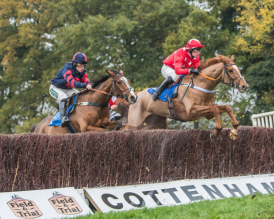 Race 5 - Open Maiden (75 of 106)