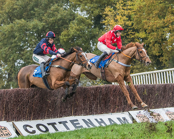 Race 5 - Open Maiden (76 of 106)