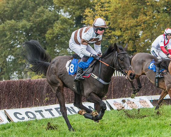 Race 5 - Open Maiden (79 of 106)