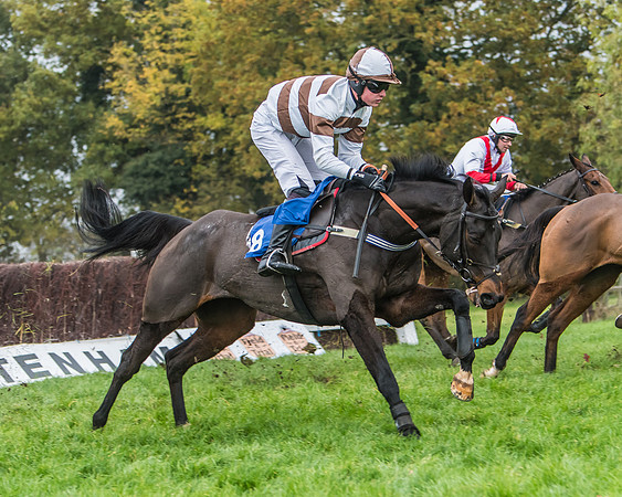 Race 5 - Open Maiden (80 of 106)