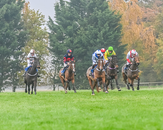 Race 5 - Open Maiden (81 of 106)