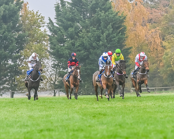 Race 5 - Open Maiden (82 of 106)