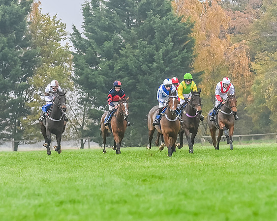 Race 5 - Open Maiden (83 of 106)
