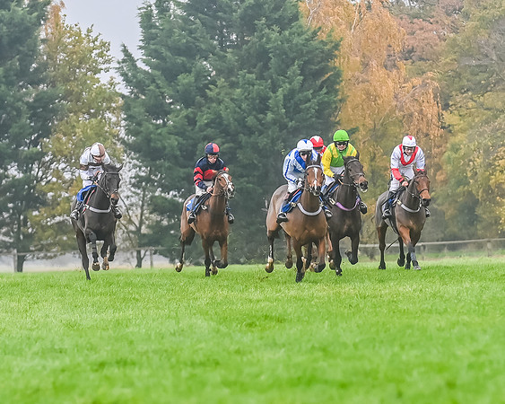 Race 5 - Open Maiden (84 of 106)