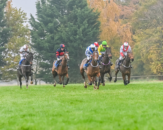 Race 5 - Open Maiden (85 of 106)