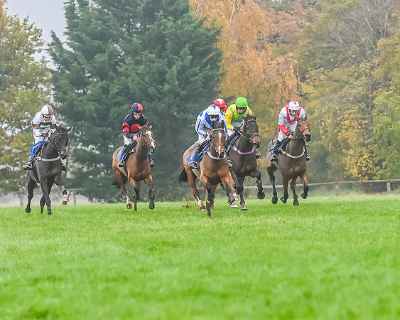 Race 5 - Open Maiden (86 of 106)
