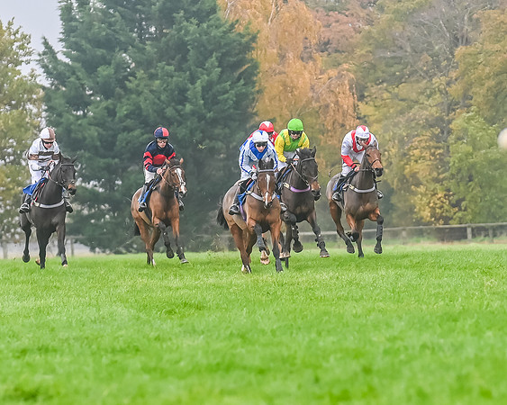 Race 5 - Open Maiden (87 of 106)