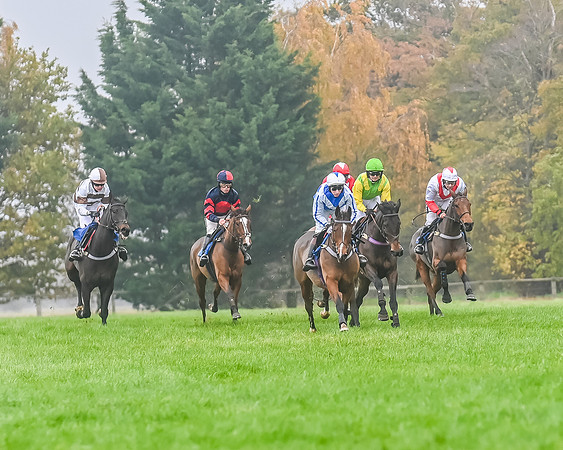 Race 5 - Open Maiden (88 of 106)