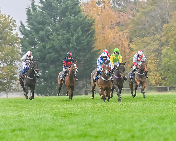 Race 5 - Open Maiden (89 of 106)