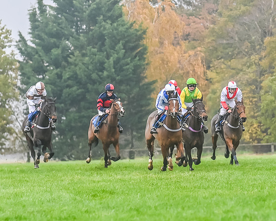 Race 5 - Open Maiden (90 of 106)