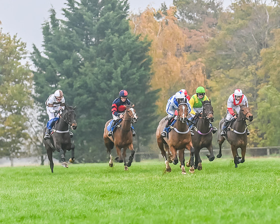 Race 5 - Open Maiden (91 of 106)