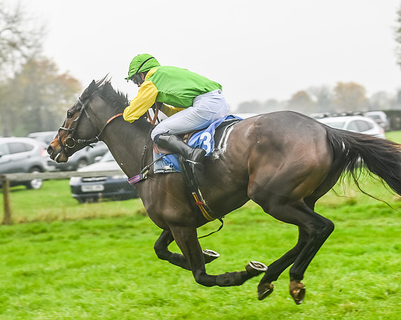 Race 5 - Open Maiden (92 of 106)