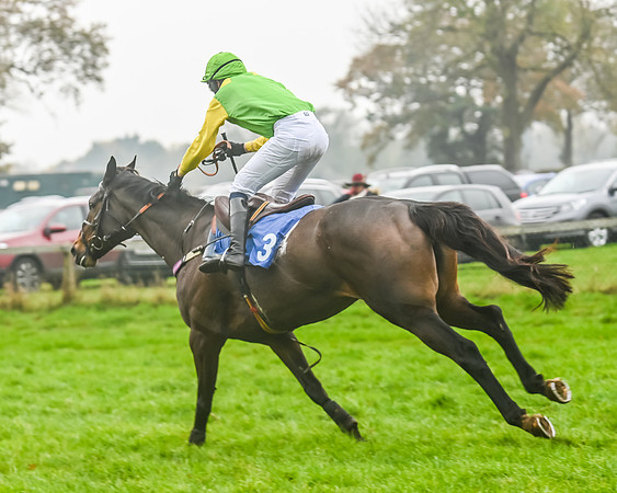 Race 5 - Open Maiden (96 of 106)